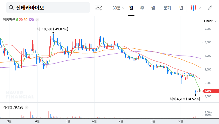 Syntekabio Secures Investment: A Turning Point or a Temporary Reprieve? 대표 차트 이미지