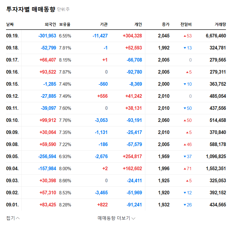 Hyungji Global's ₩5 Billion Convertible Bond Issuance: Impact on Stock Price and Investment Strategies 관련 이미지