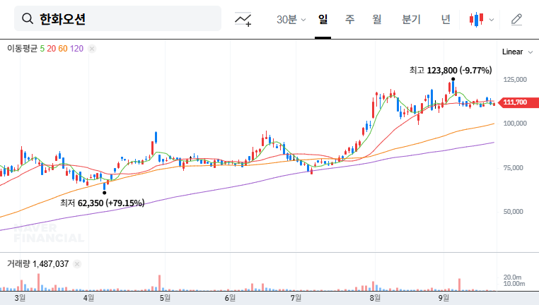 Hanwha Ocean Production Halt: A Critical Analysis for Investors 대표 차트 이미지