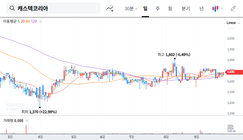 Castech Korea: Auditor Appointment Invalidated - What Investors Need to Know 대표 차트 이미지