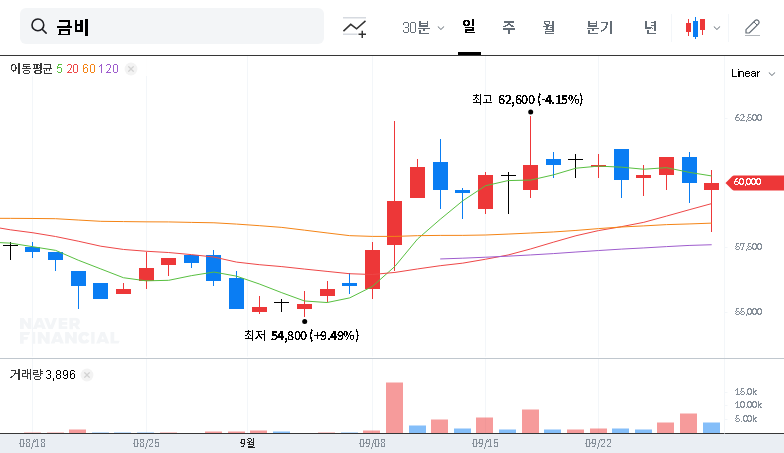 (008870) Geumbi Treasury Stock Disposal: A 2025 Deep Dive for Investors 대표 차트 이미지