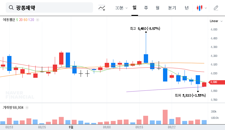 (009290) Kwangdong Pharmaceutical (009290) Treasury Stock Disposal: A Deep Dive for Investors 대표 차트 이미지