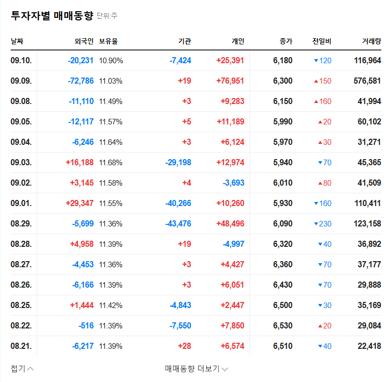 Ray Co. Stock Forecast: Is Singapore Government's Divestment a Bad Omen or an Opportunity? 관련 이미지