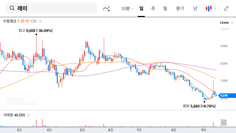 Ray Co. Stock Forecast: Is Singapore Government's Divestment a Bad Omen or an Opportunity? 대표 차트 이미지