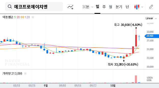 (383310) ECOPRO HN Treasury Stock Disposal: A Deep Dive for Investors (2023 Analysis)