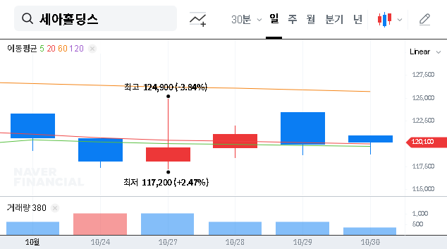 (058650) SEAH HOLDINGS CORP Performance (H1 2025): An In-Depth Investment Analysis